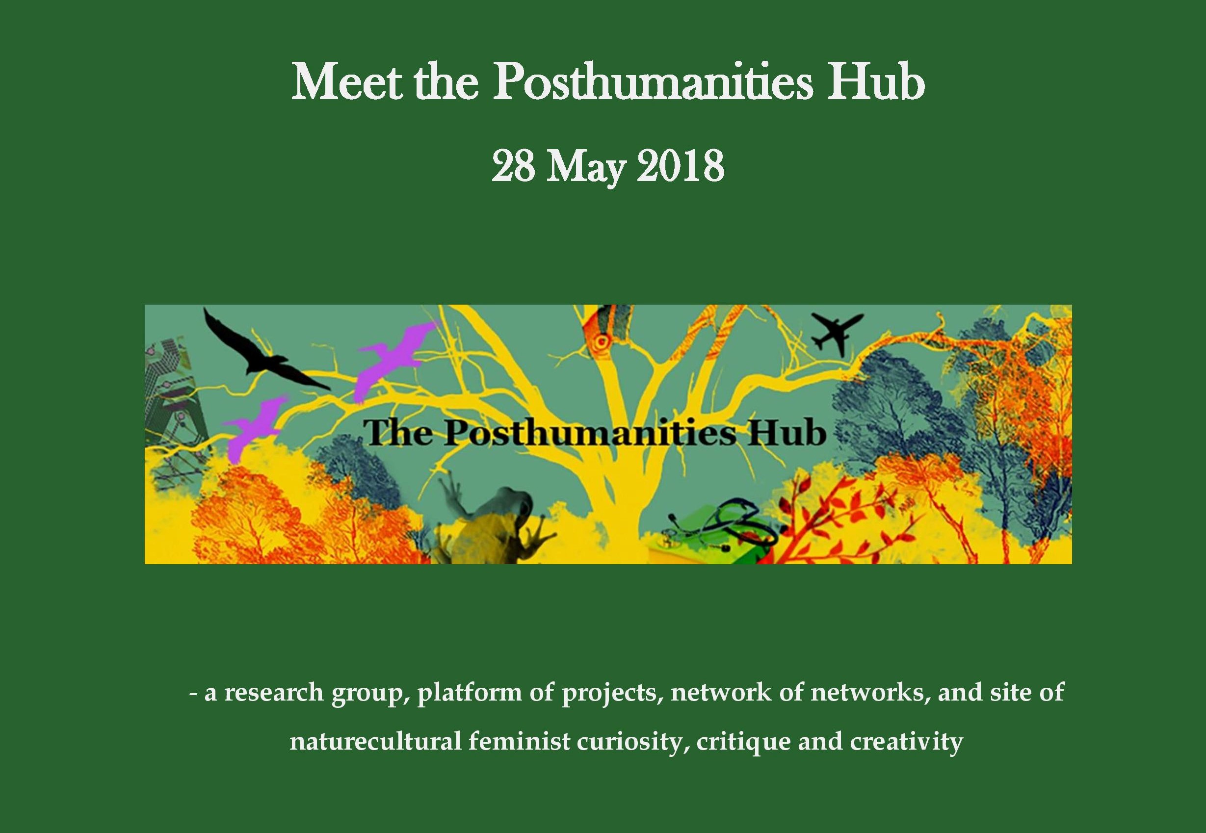 Meet the Posthumanities Hub programme image