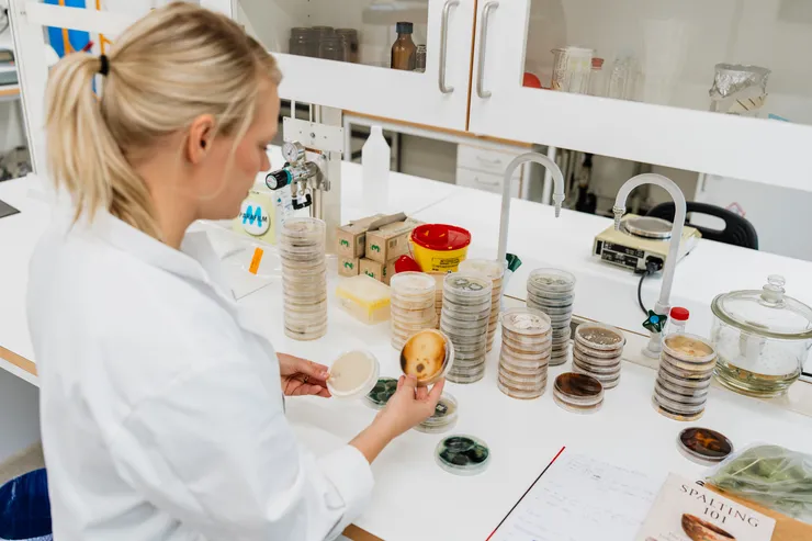 Biological art takes shape on Corson: Interview with Hub artist Amanda Selinder