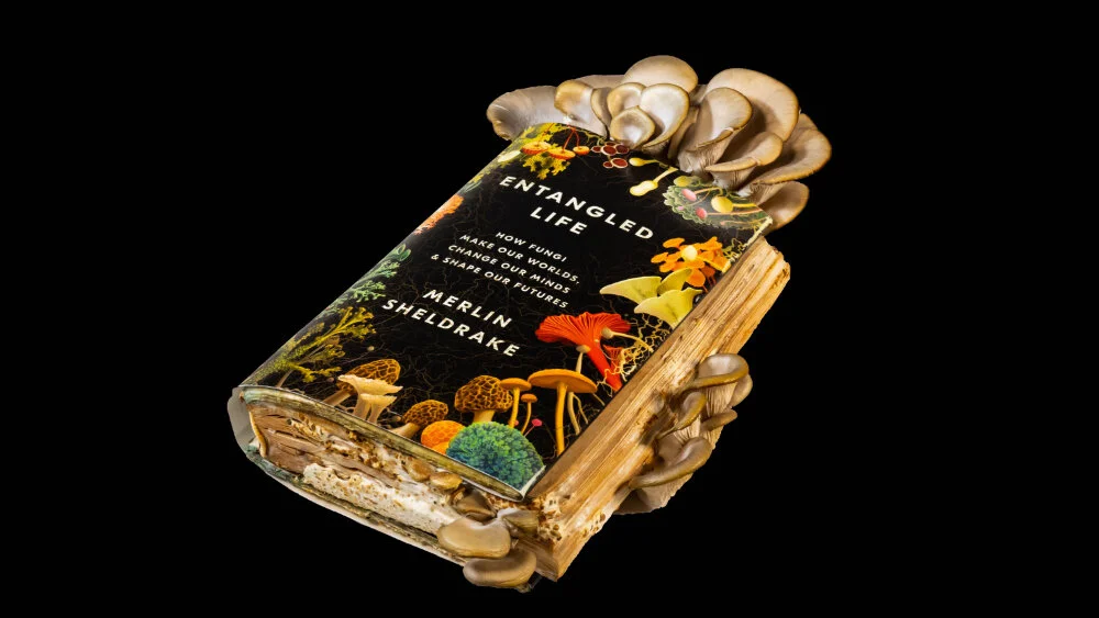 The Posthumanities Hub Reading Group meet-up 13/3