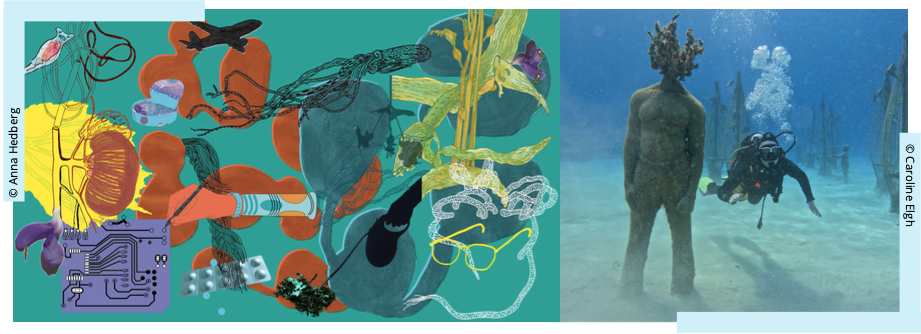 PhD course (10 credits) / Gender, nature, culture: Feminist Posthumanities in Practice