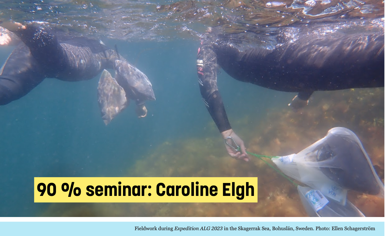 90% PhD seminar: Caroline Elgh, Entangled Coralations